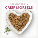 fancy-feast-purina-filet-mignon-flavor-real-seafood-shrimp-dry-cat-food