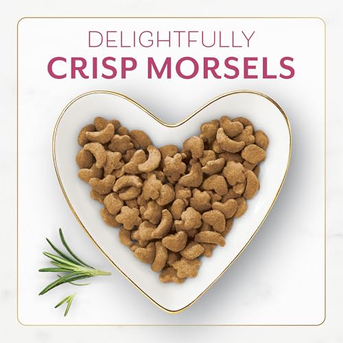 fancy-feast-purina-filet-mignon-flavor-real-seafood-shrimp-dry-cat-food