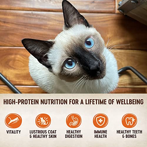 wellness core tiny tasters land variety pack grain free 1.75 oz pouch 12 count