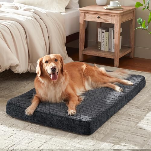 joejoy xl orthopedic dog bed grey 41x27 extra thick egg memory foam