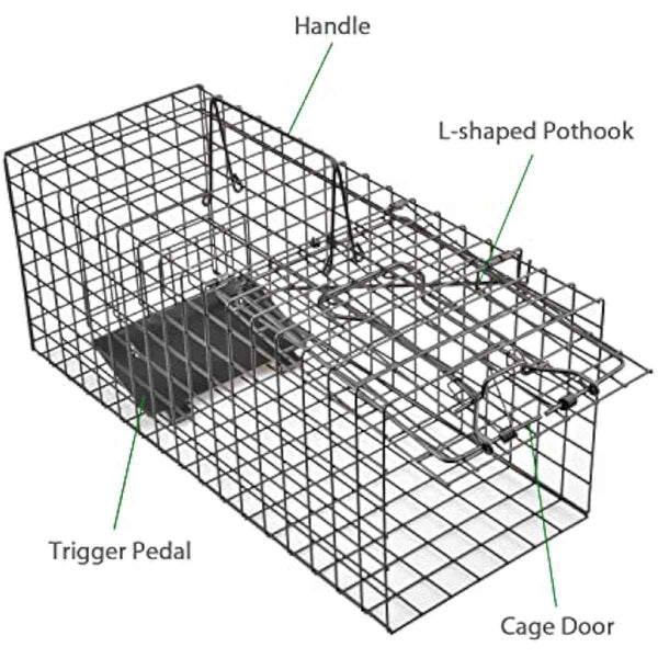 Live Squirrel Trap Heavy Duty Humane Animal Cage Trap (No Assembly Required)