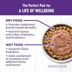 wellness complete health grain-free chicken & turkey cat food 3oz 12 pack