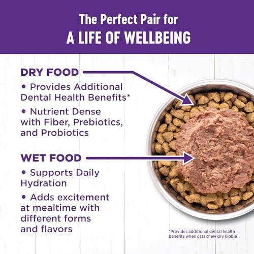 wellness complete health grain-free chicken & turkey cat food 3oz 12 pack