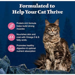 Blue Buffalo Wilderness Natural High Protein Grain Free Dry Cat Food for Adult Cats Salmon 11-lb Bag