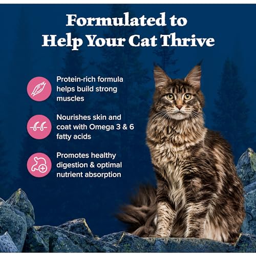 Blue Buffalo Wilderness Natural High Protein Grain Free Dry Cat Food for Adult Cats Salmon 11-lb Bag