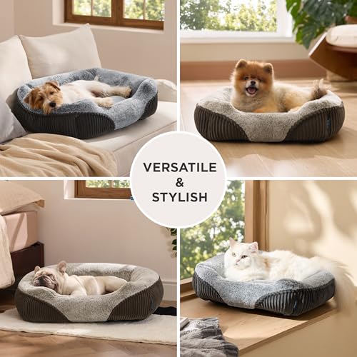 bedsure washable dog bed, small medium size, rectangle fluffy plush pet bed, comfy corduroy fleece, 25x21x7inches, suitable for pet up to 20lbs, grey