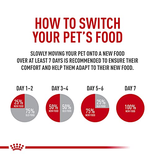 royal canin feline care hairball care adult dry cat food 6 lb bag for cats 1 year and older prone to hairballs