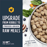 Instinct raw freeze-dried chicken cat food, 25 oz bag, USA made, grain-free, 93% meat, non-GMO