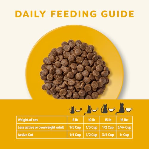 Applaws Grain-Free Dry Cat Food with Chicken & Salmon, Limited Ingredients, Added Vitamins & Minerals, 4 Pound Bag
