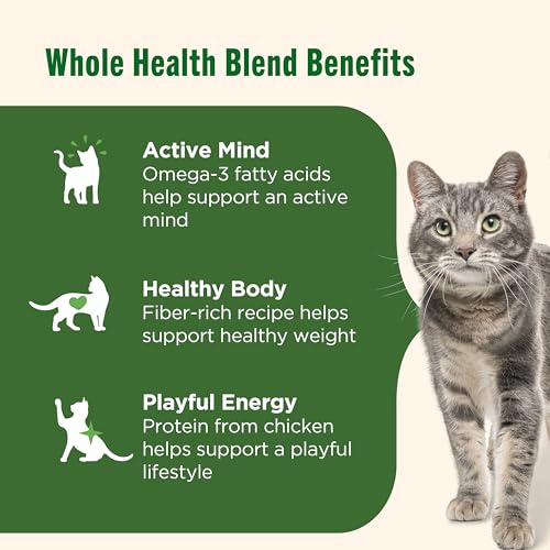 rachael ray nutrish premium natural dry cat food, real chicken & brown rice recipe, 14 pounds