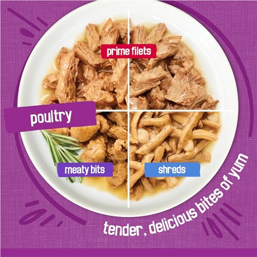 purina friskies gravy wet cat food variety pack, poultry shreds, meaty bits and filets for adult cats, 5.5 oz cans, pack of 32