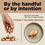 Brazil Nuts, 8oz, Wild Harvested, High Selenium, Gluten Free, Peanut Free, Non-GMO, Kosher, Resealable