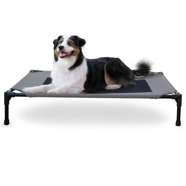 K&H Pet Products large dog cot, breathable mesh, washable cover, raised metal frame, collapsible, portable, gray, 42 X 30in