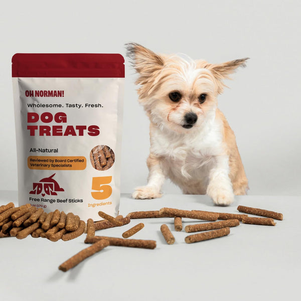 Soft Beef Jerky Dog by Kaley Cuoco, Air Dried, Free Range Beef, 6 Oz