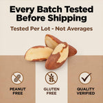Brazil Nuts, 8oz, Wild Harvested, High Selenium, Gluten Free, Peanut Free, Non-GMO, Kosher, Resealable