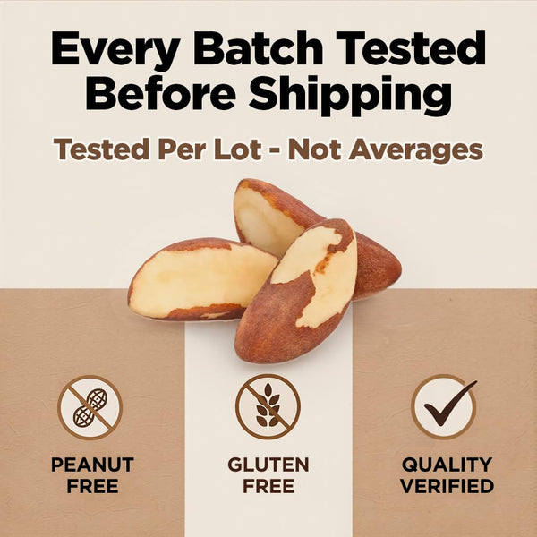 Brazil Nuts, 8oz, Wild Harvested, High Selenium, Gluten Free, Peanut Free, Non-GMO, Kosher, Resealable