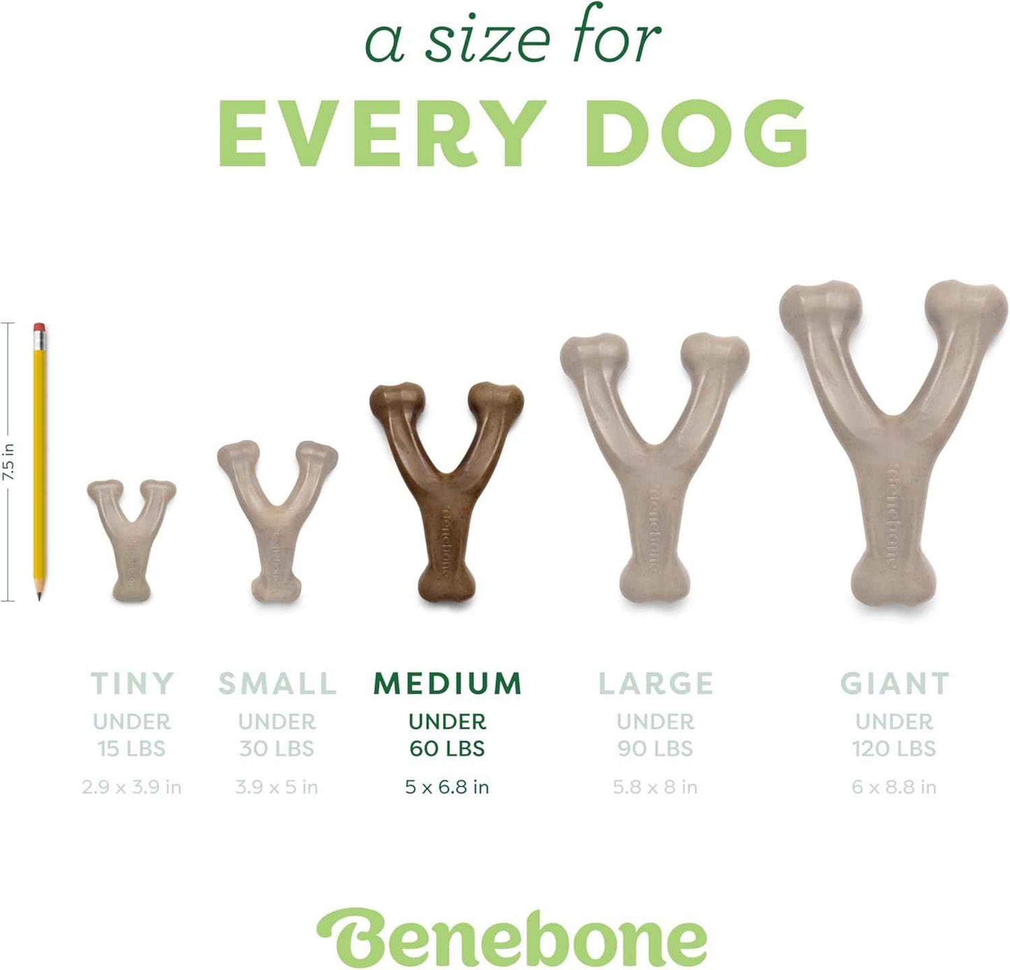 Benebone Wishbone Durable Dog Chew Toy for Aggressive Chewers, Real Bacon, Made in USA, Medium