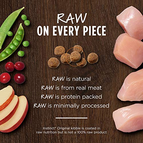 Instinct Original Raw Coated High Protein Grain Free Chicken Dry Cat Food 11 lb Bag