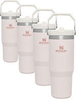 30 oz stainless steel tumbler with handle and leak resistant straw