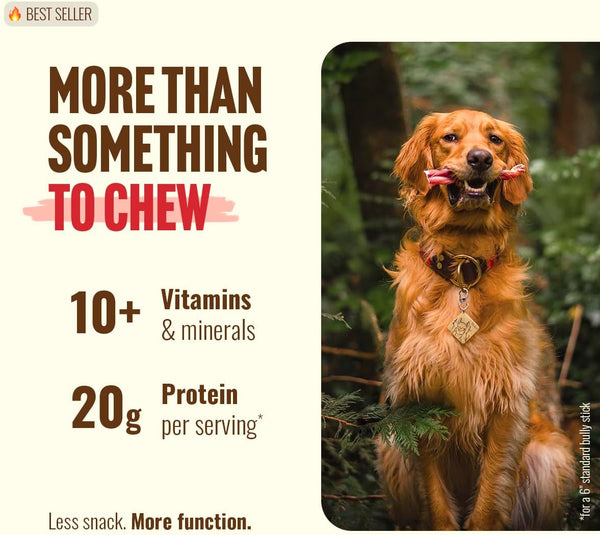 Natural Farm Odor-Free Bully Sticks 6 Inch 25 Count 100% Beef Pizzle Chews Grass-Fed Non-GMO Grain-Free