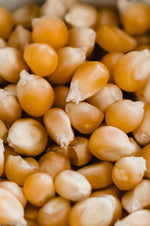 Amish Country Popcorn, 6 lb Bag, Mushroom Popcorn Kernels, Old Fashioned, Non-GMO, Gluten Free