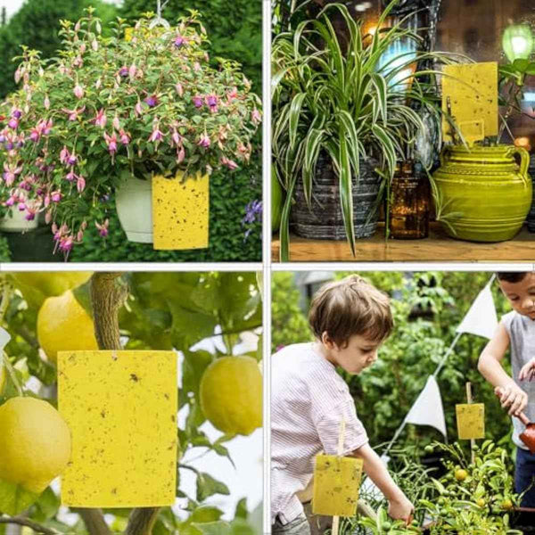 Gideal 20-Pack Dual-Sided Yellow Sticky Traps for Flying Plant Insect Such as Fungus Gnats, Whiteflies, Aphids, Leafminers,Thrips - (6x8 Inches, Included 20pcs Twist Ties)
