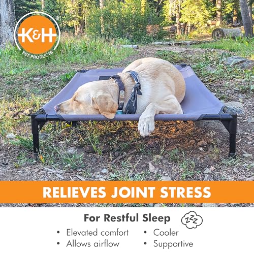 K&H Pet Products large dog cot, breathable mesh, washable cover, raised metal frame, collapsible, portable, gray, 42 X 30in