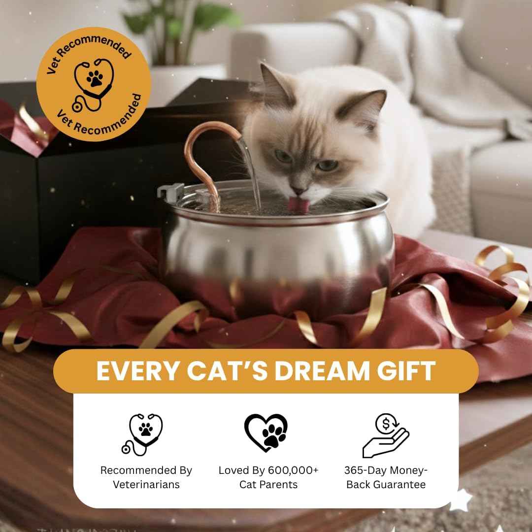 stainless steel kitty spout 2.0 cat water fountain automatic circulating bowl dishwasher safe indoor pets 4l corded