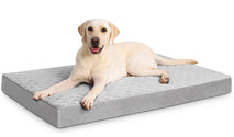 Orthopedic large dog bed with waterproof cover and non-slip base, 41x27 inch light gray
