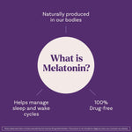 Natrol Fast Dissolve Melatonin 1 mg, Sleep Support Supplement for Adults