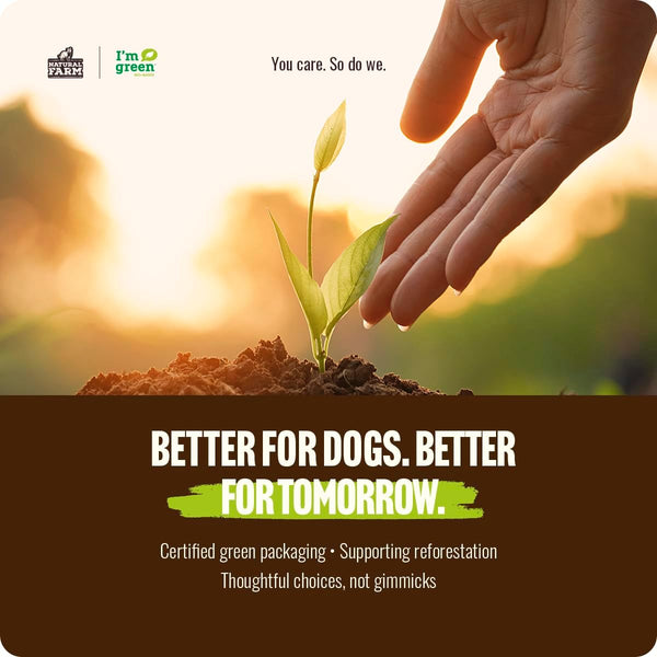 Natural Farm Odor-Free Bully Sticks 6 Inch 25 Count 100% Beef Pizzle Chews Grass-Fed Non-GMO Grain-Free