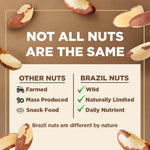 Brazil Nuts, 8oz, Wild Harvested, High Selenium, Gluten Free, Peanut Free, Non-GMO, Kosher, Resealable