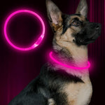 BSEEN USB Rechargeable Flash Dog Necklace Light, Green, Small Medium Large Dogs