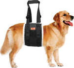 Adjustable dog lift harness for large dogs hind leg support with soft lift and rehab features