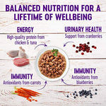 Wellness Healthy Indulgence Morsels Adult Wet Cat Food, Natural, Protein-Rich, Grain-Free, 8 Pack