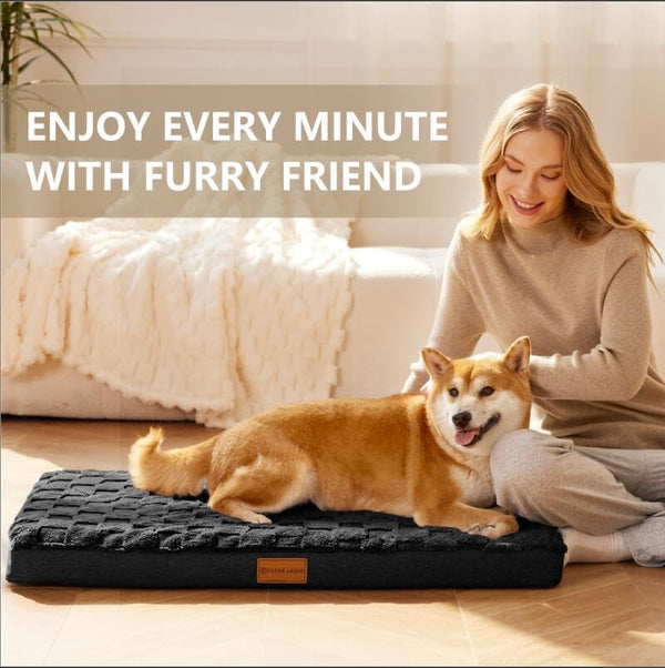 patas-lague-large-orthopedic-dog-bed-waterproof-egg-crate-foam-black-36x24