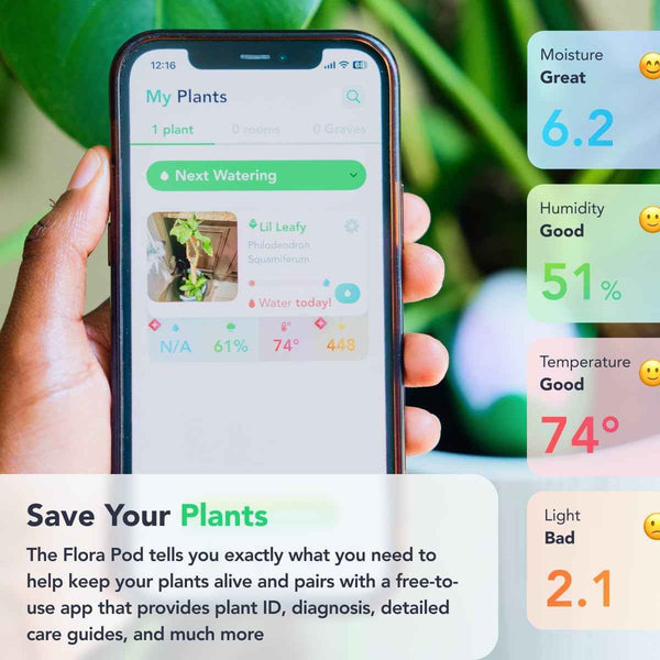 Flora Pod AI-Powered Smart Plant Monitor, Indoor or Outdoor, Personalized Alerts for Moisture, Temperature, Humidity, and Light