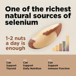 Brazil Nuts, 8oz, Wild Harvested, High Selenium, Gluten Free, Peanut Free, Non-GMO, Kosher, Resealable