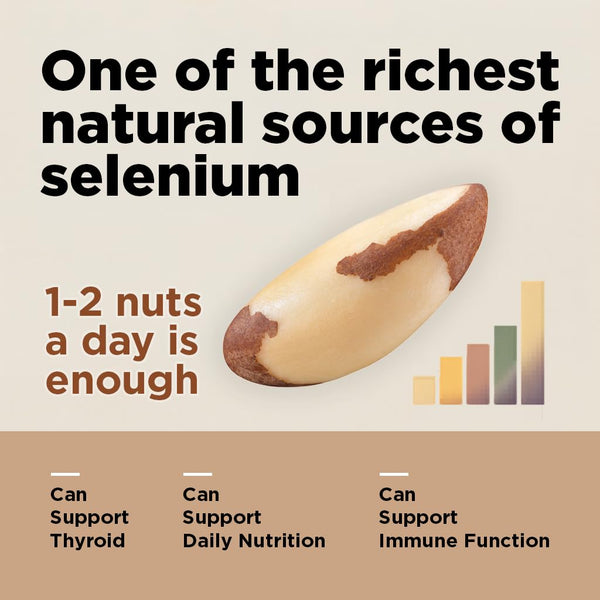 Brazil Nuts, 8oz, Wild Harvested, High Selenium, Gluten Free, Peanut Free, Non-GMO, Kosher, Resealable