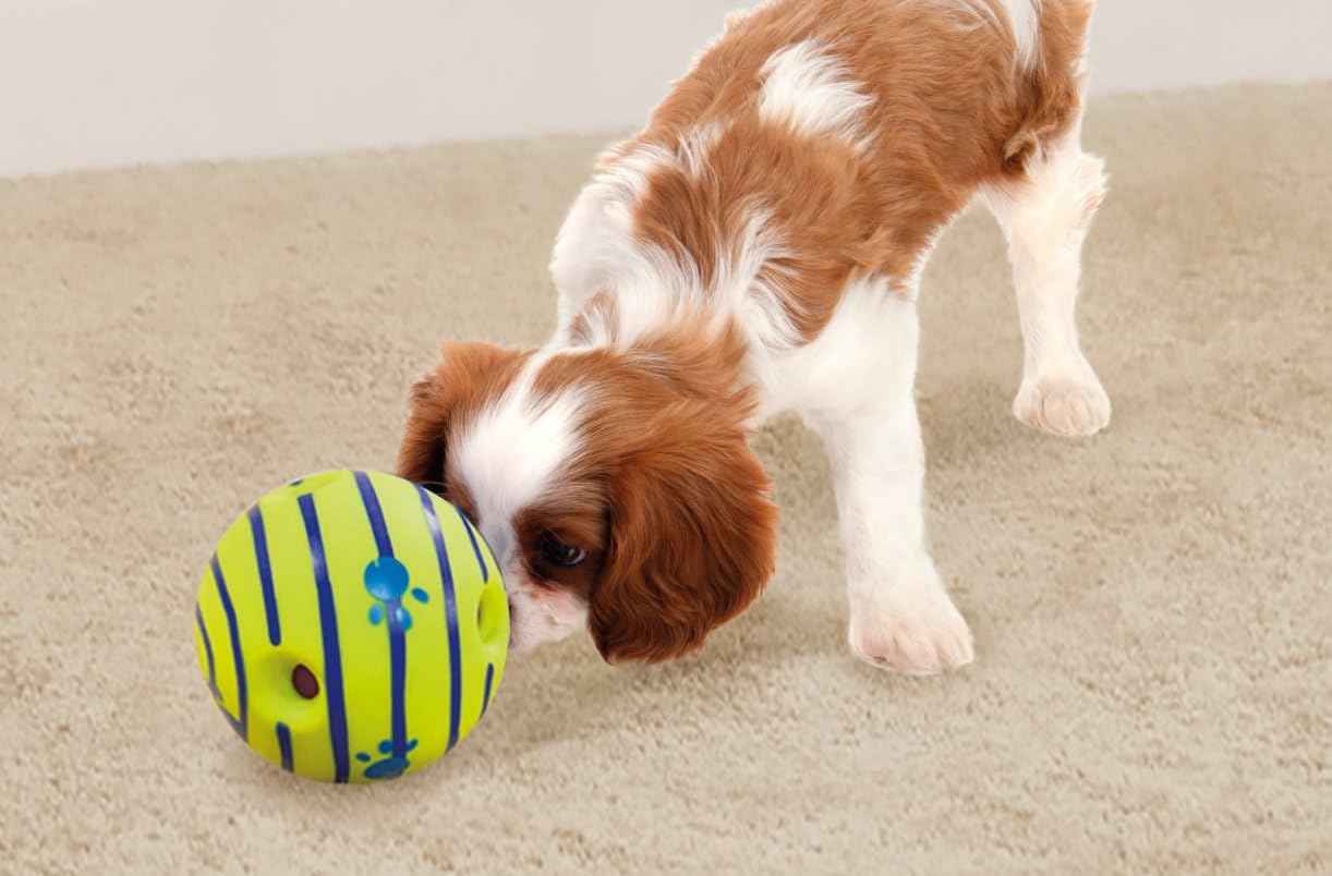 Wobble Wag Giggle Ball | Rolling Enrichment Toy for Fun Playtime, Interactive Play for Indoor or Outdoor, Keeps Dogs & Puppies Large, Medium or Small Busy & Moving, As Seen on TV | Pack of 1
