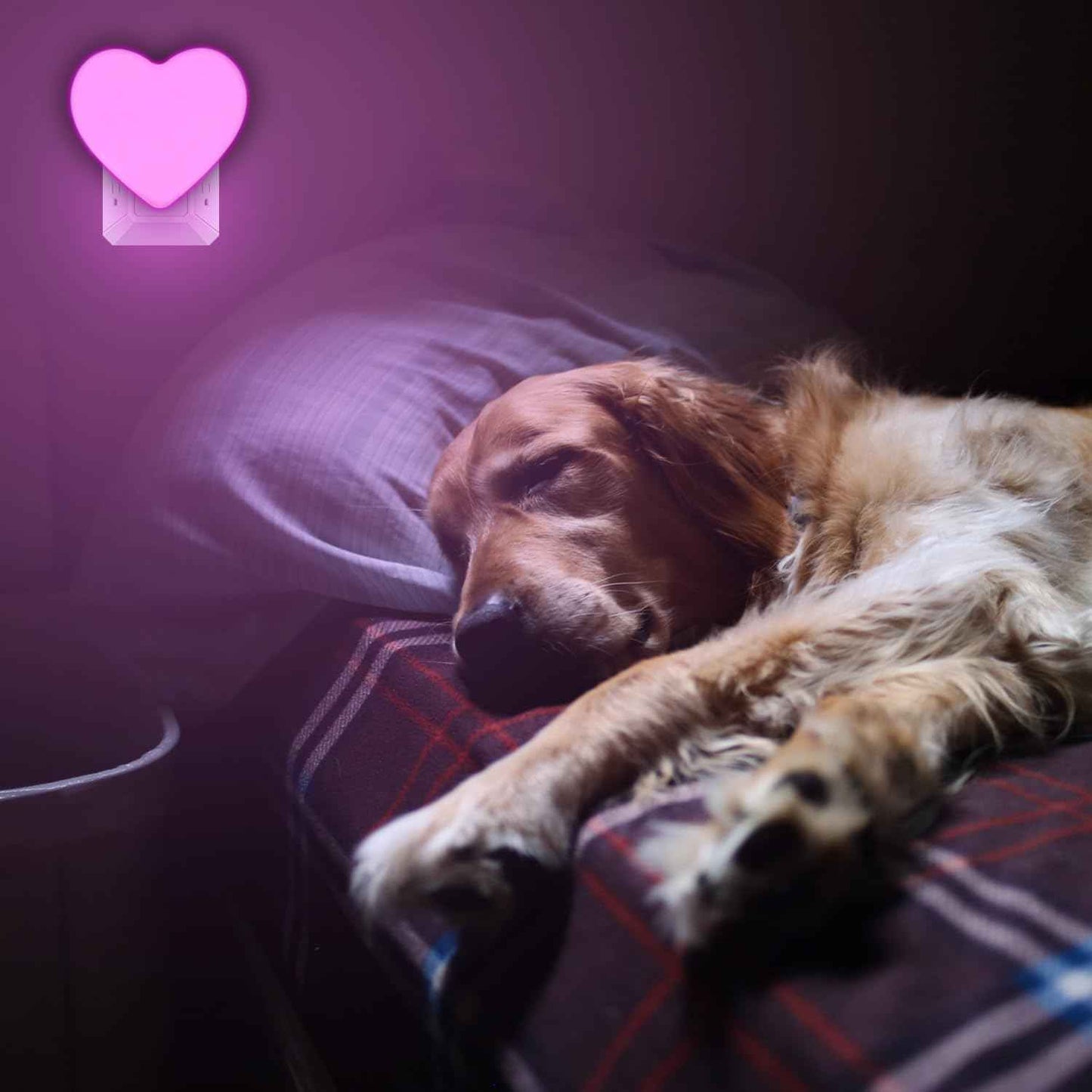 INZU Night Lights Plug into Wall, LED Night Light for Kids, Cute Nightlight with Auto Dusk to Dawn Sensor, LED Nightlight with Soft Warm Light for Bedroom, Nursery, Bathroom, Hallway (Pink) | LED Nightlight, for Kids, Soft Warm Light, Auto Dusk to Dawn Se