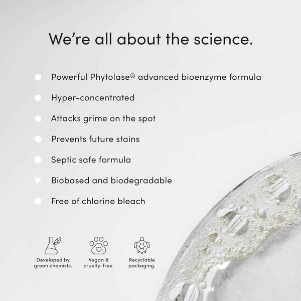 Dirty Labs | Probiotic Toilet Bowl Cleaner Powder | with Phytolase Bio Enzymes | 24 Doses | Septic-Safe, Biodegradable, Bleach-Free | Verdure Scent (Cassis. Tuberose. Birch.)