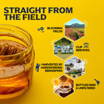 Fischer's 100% Pure Raw Unfiltered Honey - USA Made All-Natural Sweetener with Rich Flavor Profile and 40 oz Squeeze Bottle