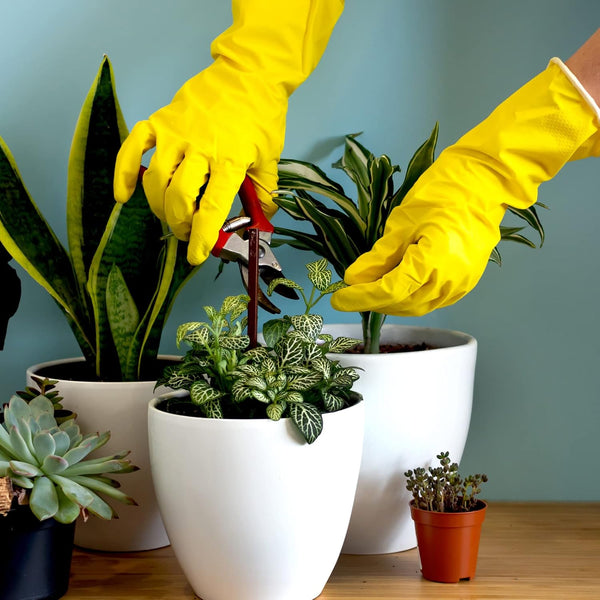 Rubber Kitchen Dishwashing Gloves - 4 Pairs Colorful Reusable Household Cleaning Gloves for Washing Dishes and Cleaning Tasks, Flexible Long-lasting and Non-Slip (Large, Blue+Pink+Yellow+Red)