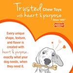 Nylabone Ring Bone Chew Toy for Puppies, Puppy Teething Toys, Puppy Enrichment Toys, Chicken Flavor, X-Small Dogs - Up to 15 lbs, 1 Count
