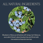 Rishi Tea Blueberry Hibiscus Herbal Tea - Organic Sachet Bags
