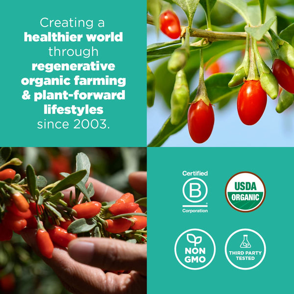 Navitas Organics Goji Berries, 8oz Bag, 8 Servings, USDA Organic, Non GMO, Gluten Free, Vegan