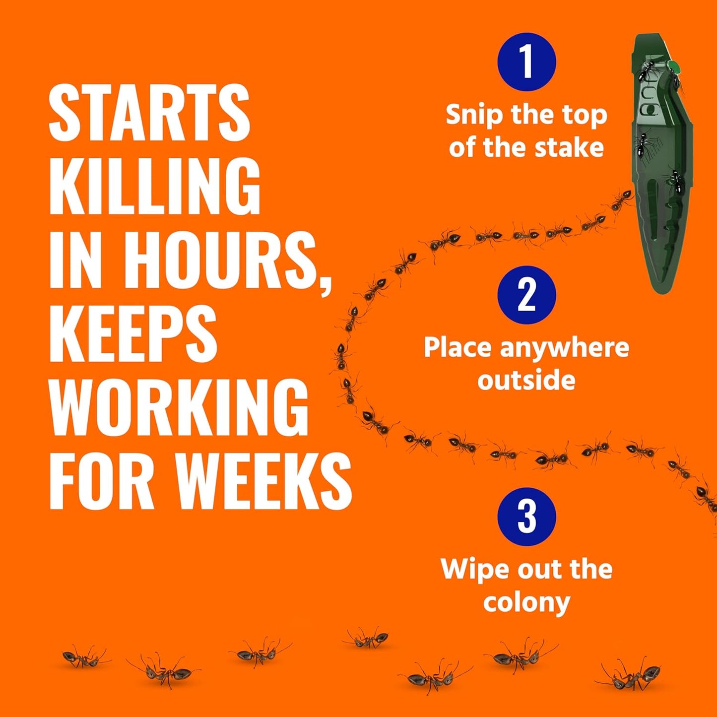 TERRO Liquid Ant Baits - T1813B - Outdoor Ready-to-Use Terro Ant Traps, Kills Household Ants, 12 Stakes