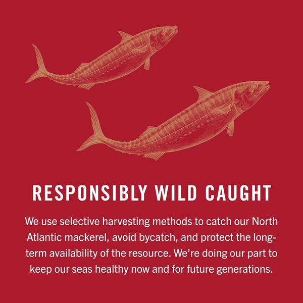 King Oscar Skinless & Boneless Mackerel in Olive Oil, 4.05 Oz Cans, Wild Caught, Keto & Paleo Friendly