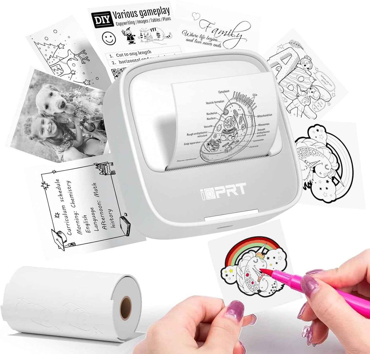 iDPRT Portable Sticker Maker Machine with 1 Roll Sticker Paper, Mini Printer Efficiently and Quickly, Thermal Printer for Study Notes, Pictures, DIY, Label, Free App with Multiple Templates, Grey